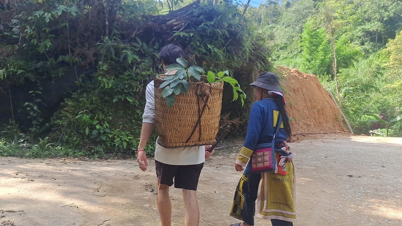 khách tự tay vào rừng hái lá thuốc với người Dao Đỏ bản địa